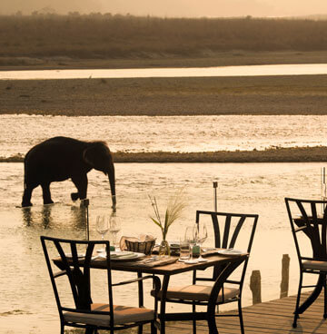 Meghauli Serai (Chitwan National Park)