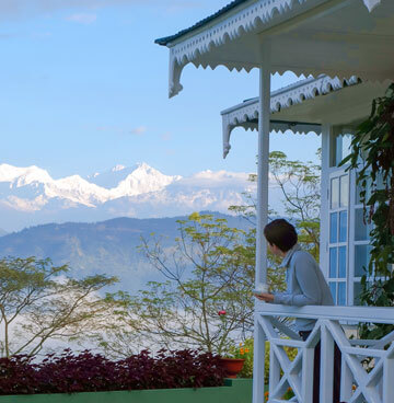 The Glenburn Tea Estate Darjeeling