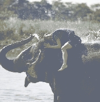 CHITWAN