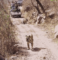 Golden Triangle With Ranthambore