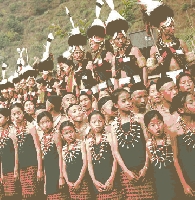 Hornbill Festival