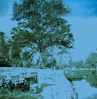 Banjaar Tola (Kanha National Park)