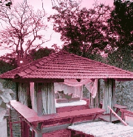 Baghvan (Pench National Park)
