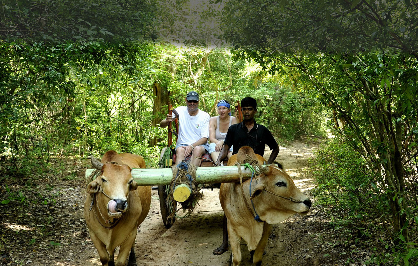 Guaranteed Departures