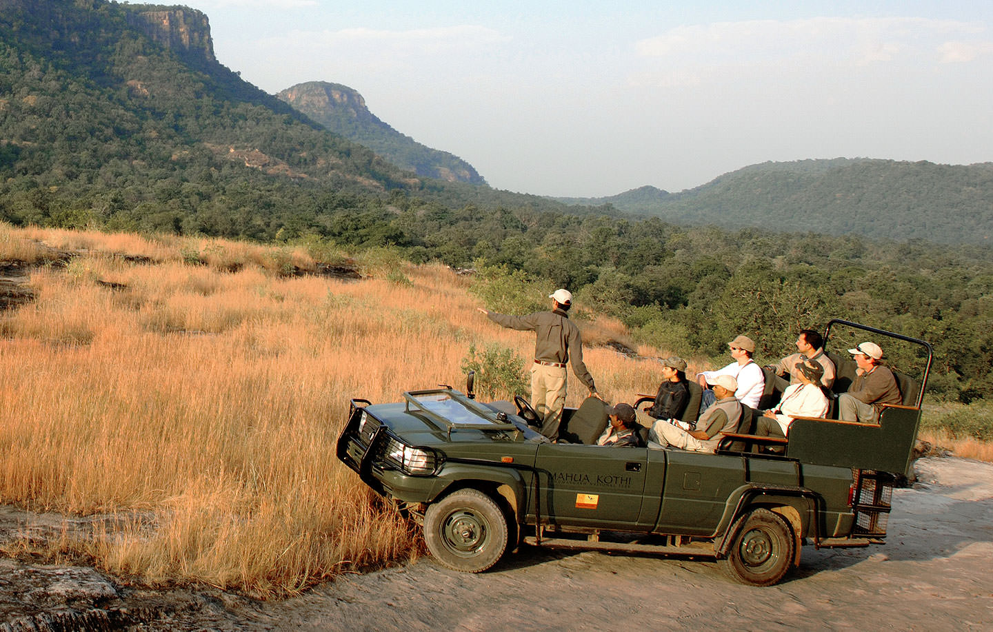 Luxury Safaris