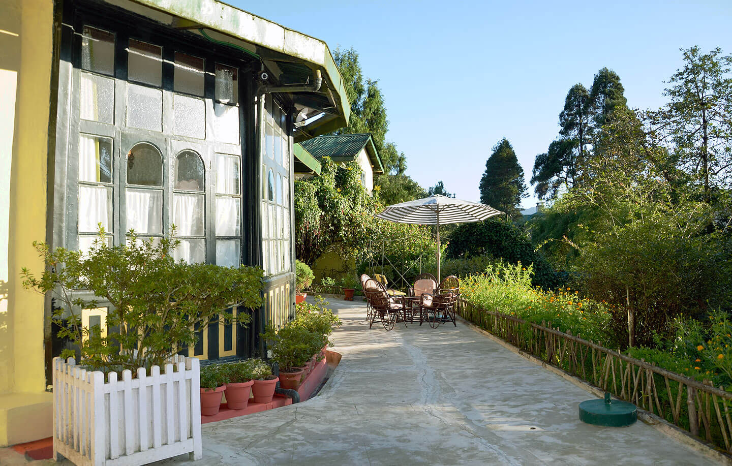 The Windamere Darjeeling