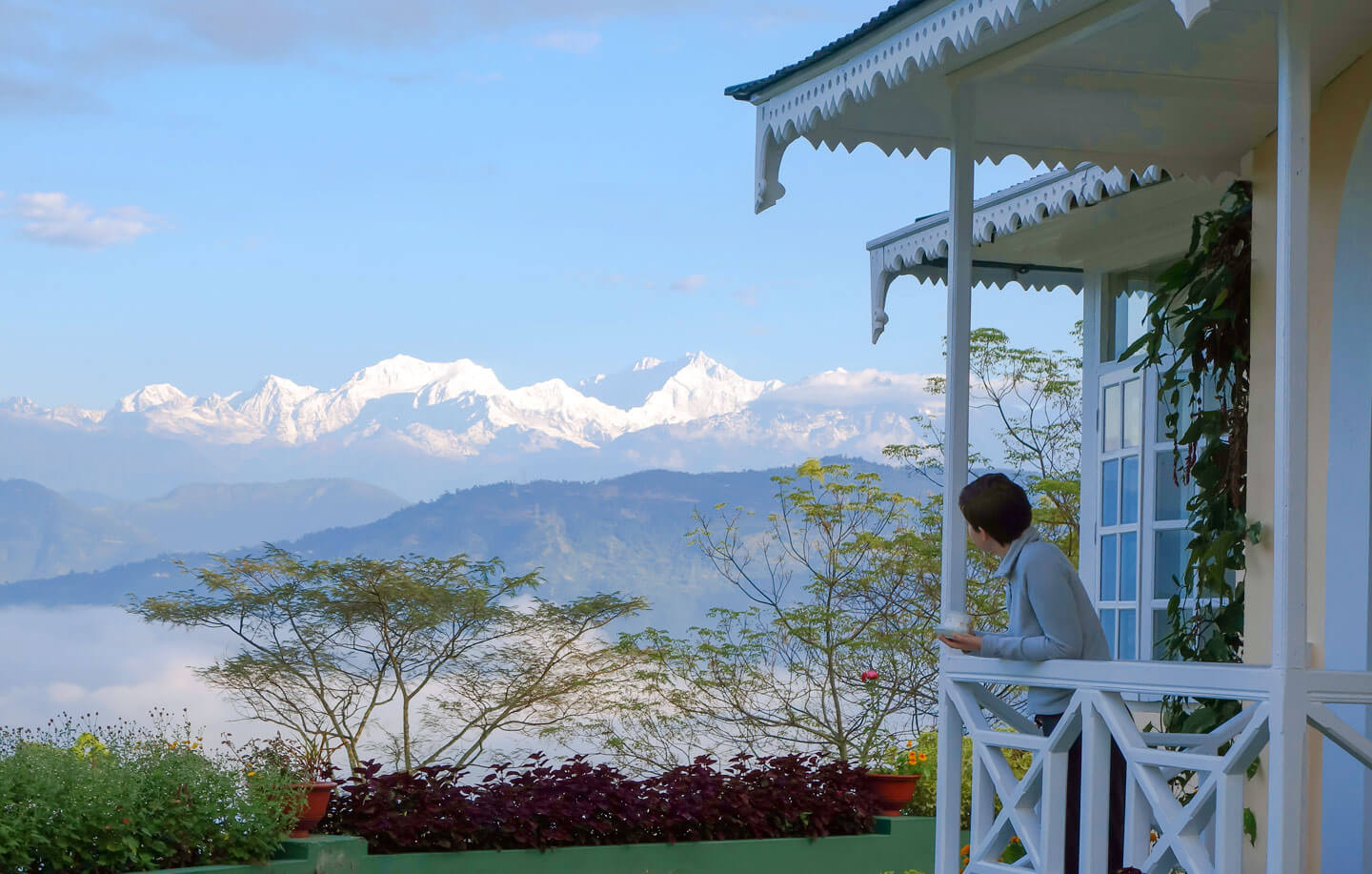 The Glenburn Tea Estate Darjeeling